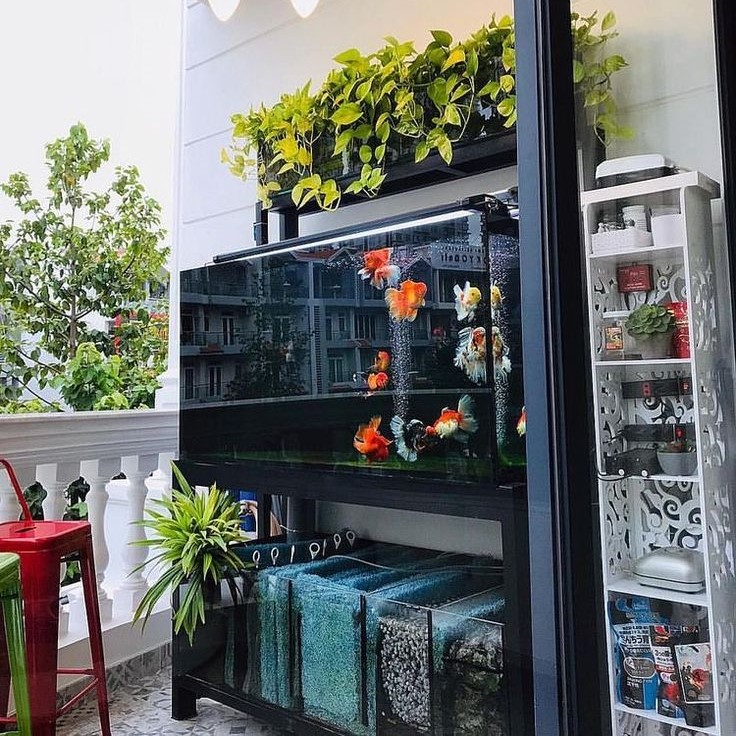 how to decorate a fish tank