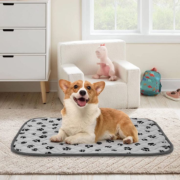 pet training pads