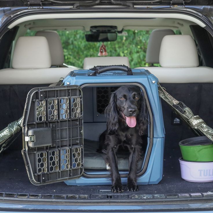 travel kennel