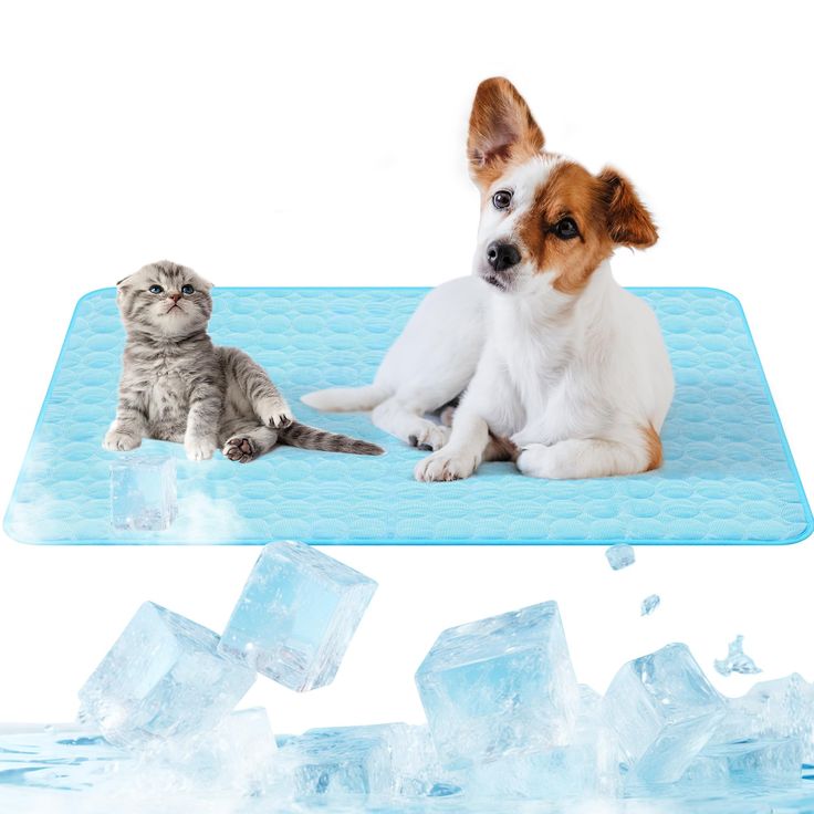 pet cooling mat