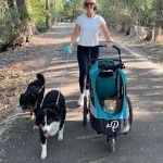 pet jogging stroller
