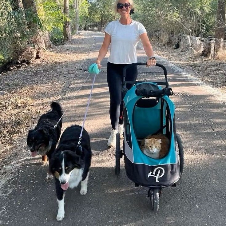 pet jogging stroller