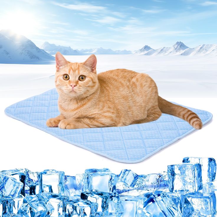 pet cooling mat