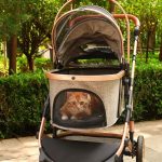 pet stroller with detachable carrier