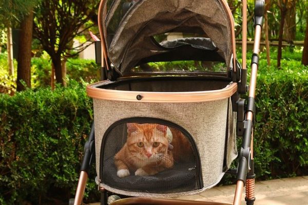 Top Pet Stroller with Detachable Carrier for Active Pet Owners pet stroller with detachable carrier
