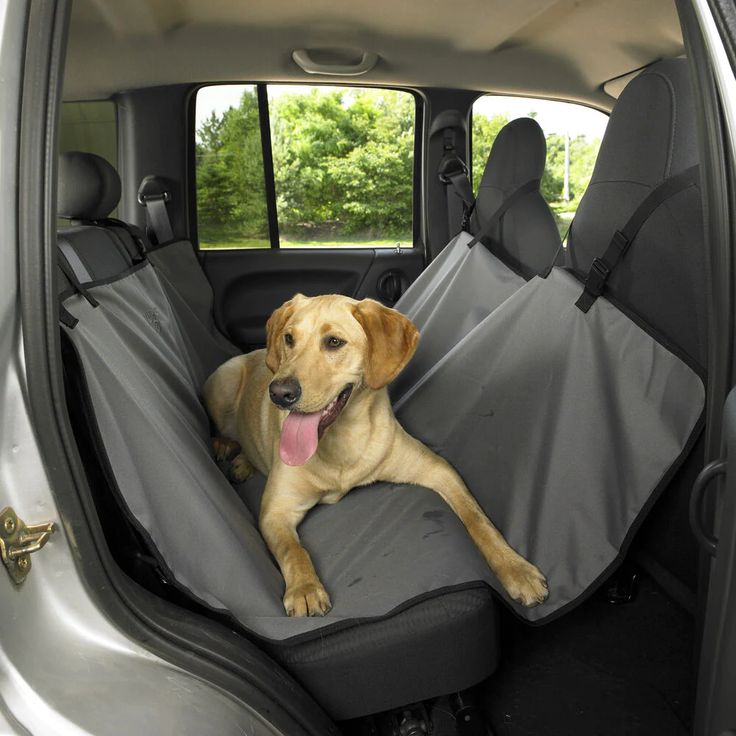 car seat cover for dogs