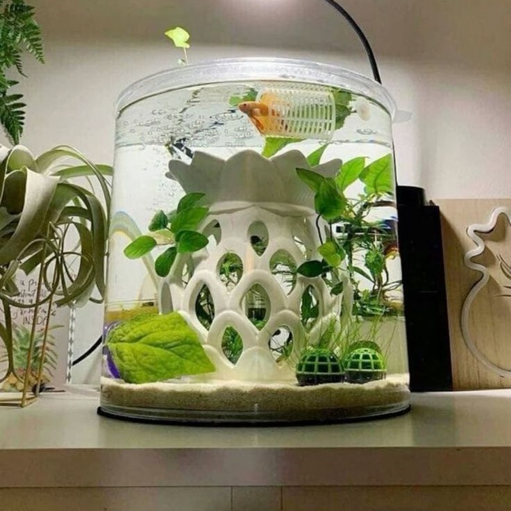 what kind of water for fish tank