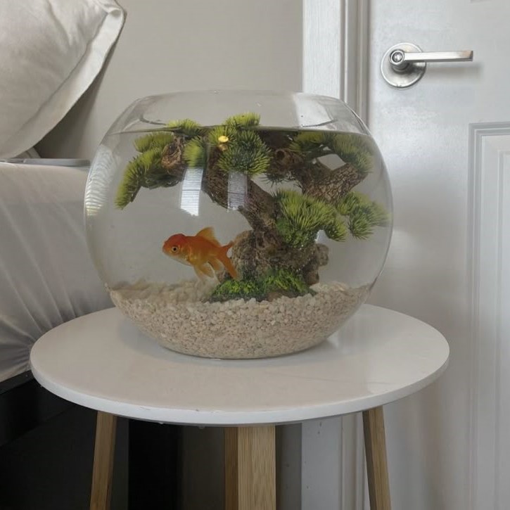 can you use distilled water in a fish tank
