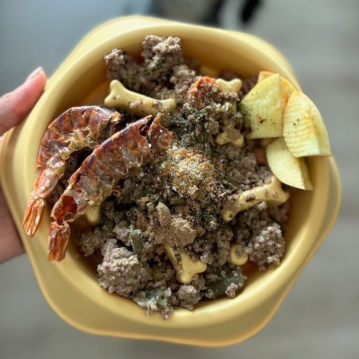 what to feed a dog with inflammatory bowel disease