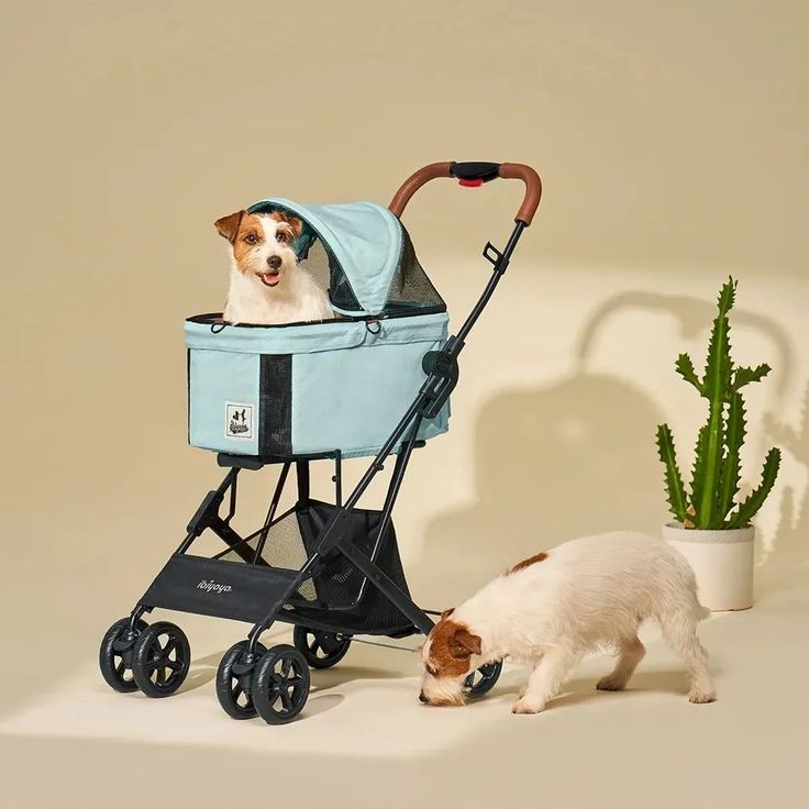 pet stroller for dogs