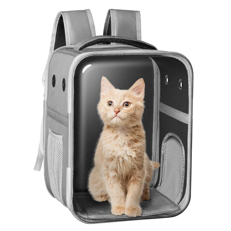 pet handle backpack