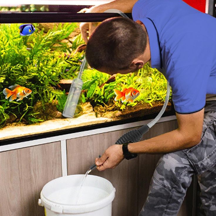 how to get rid of algae in fish tank
