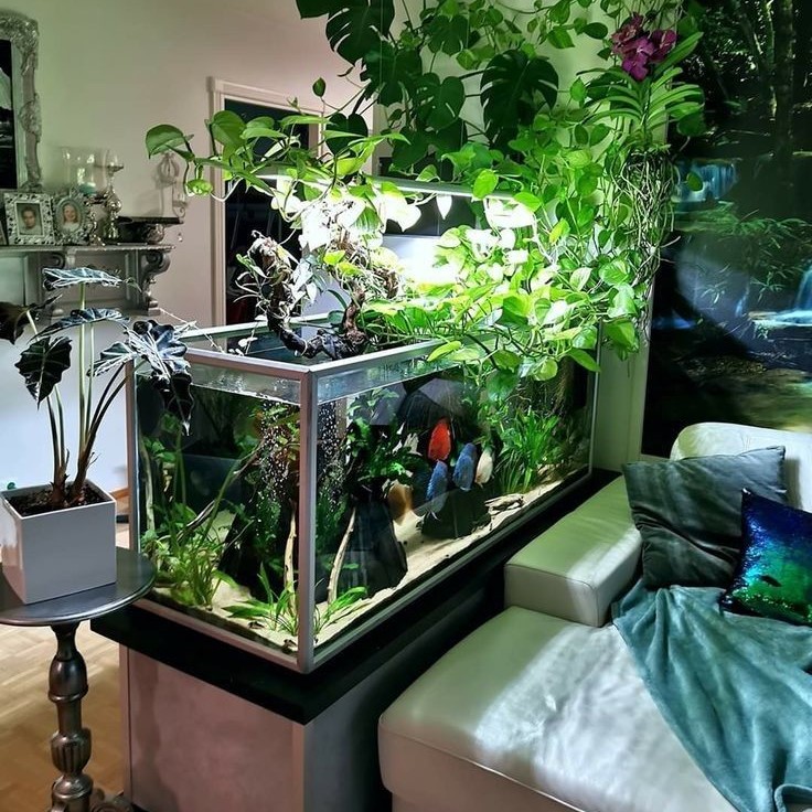 how to decorate a fish tank