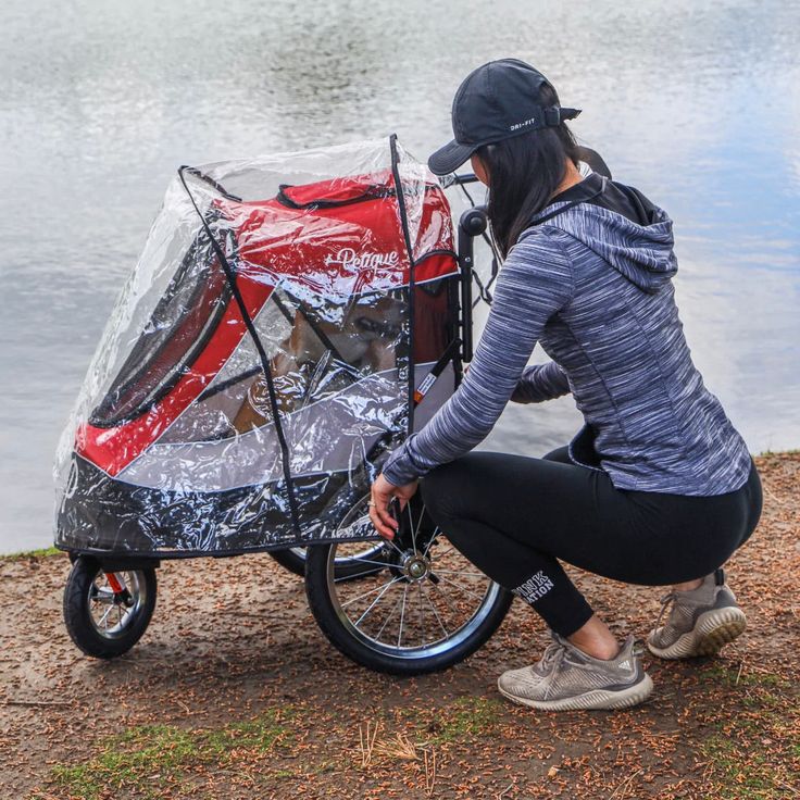 pet jogging stroller