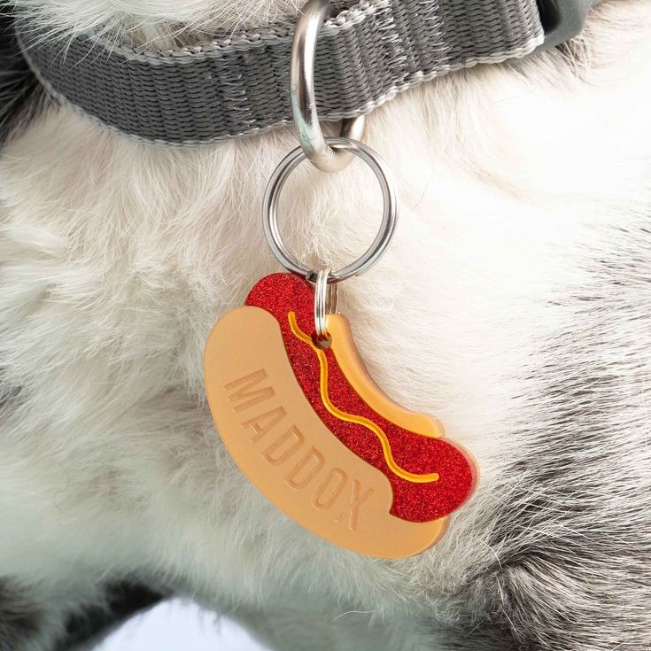 pet id tag