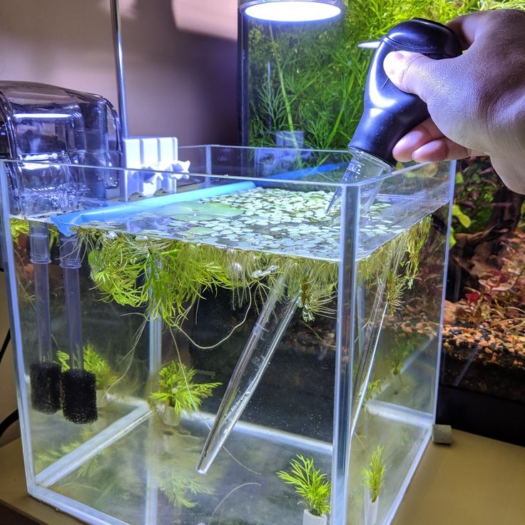 how to lower nitrates in fish tank