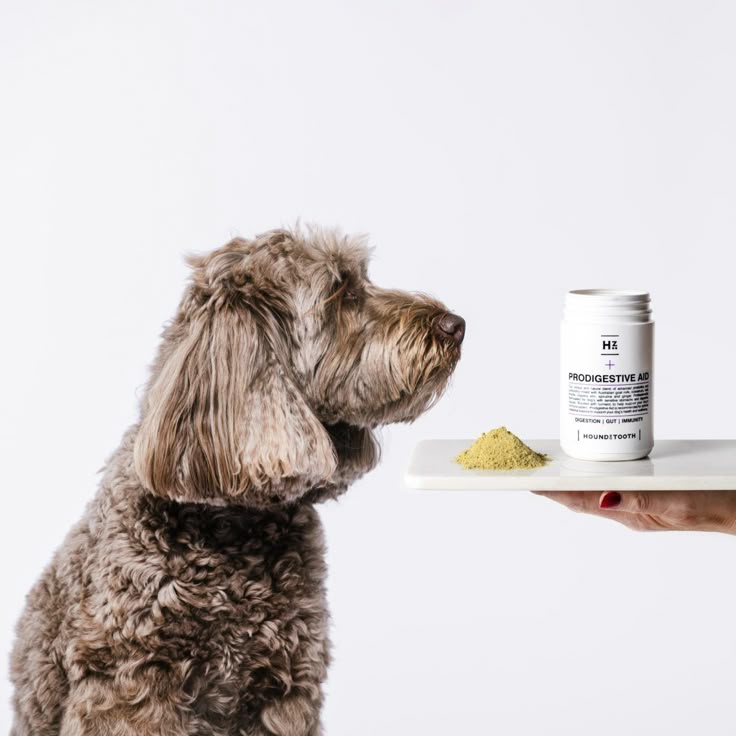 pet supplement