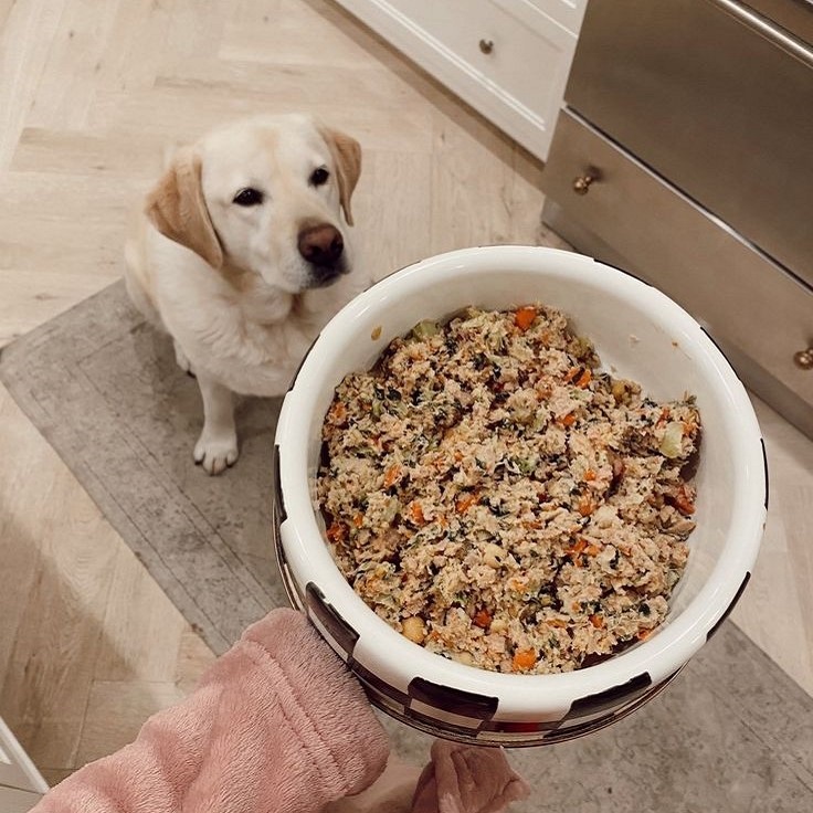 dog food for liver disease