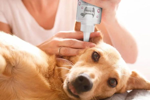 pet ear cleaner