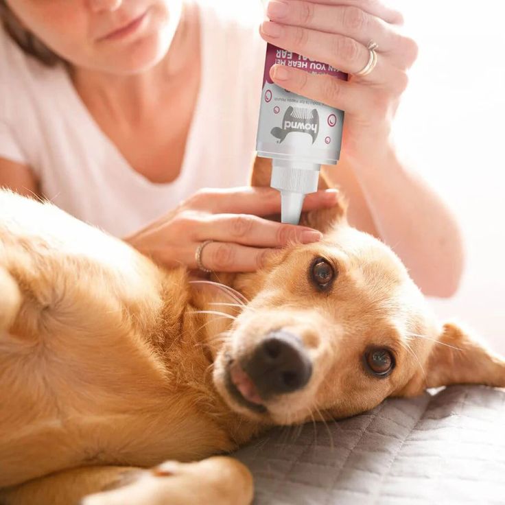 pet ear cleaner