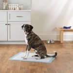 pet training pads