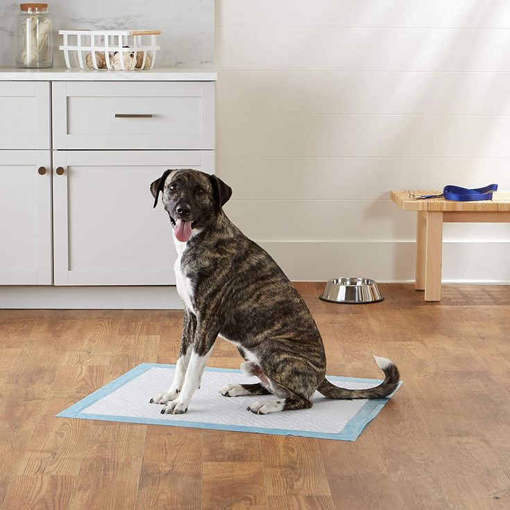 pet training pads