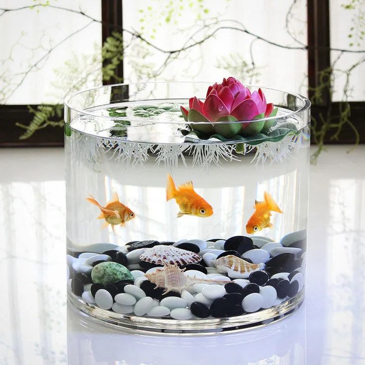 what kind of water for fish tank