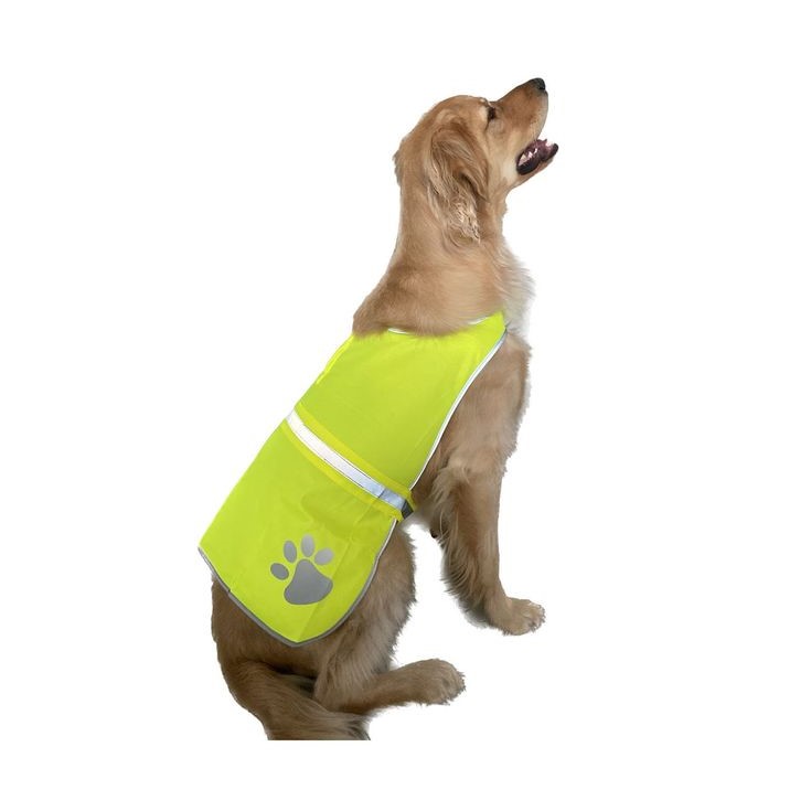 dog safety vest