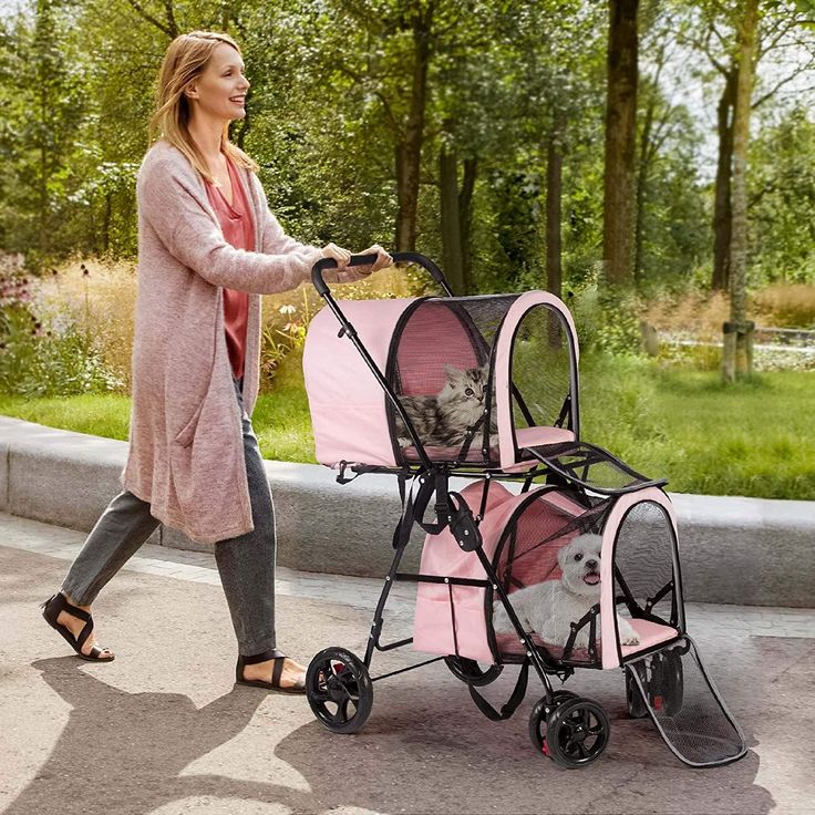 pet stroller with detachable carrier