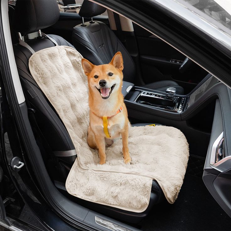 pet car seat cover