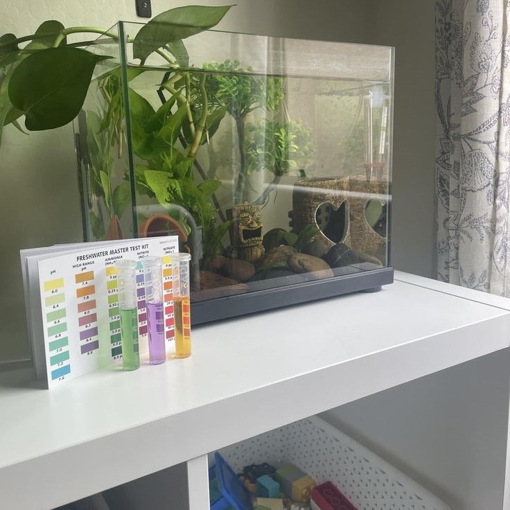 how to lower nitrates in fish tank