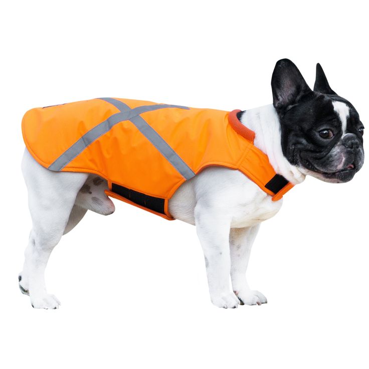 dog safety vest