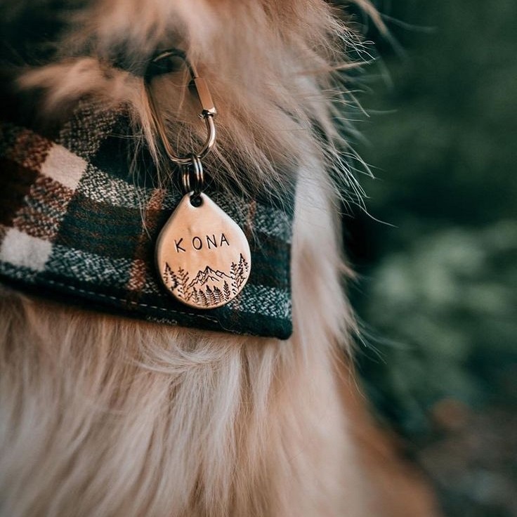 pet id tag