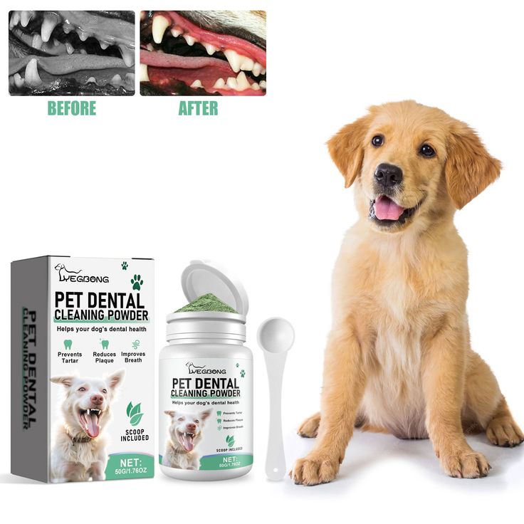 dog teeth cleaning powder