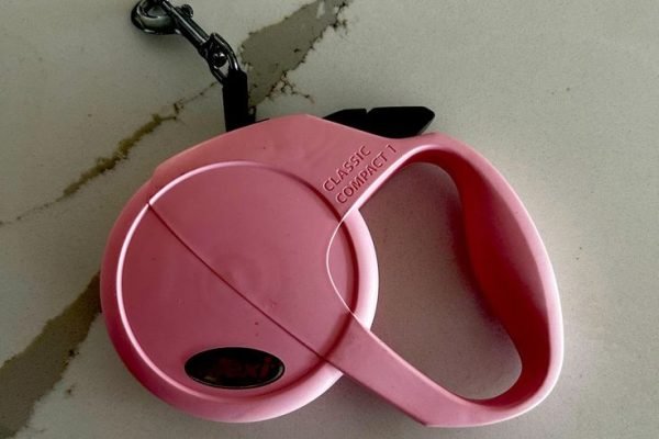 slip leash for dogs