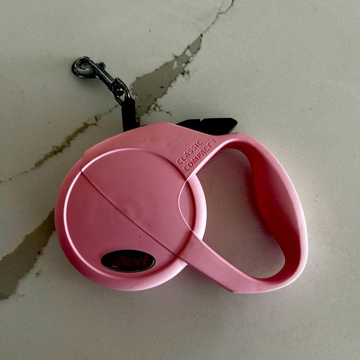 slip leash for dogs