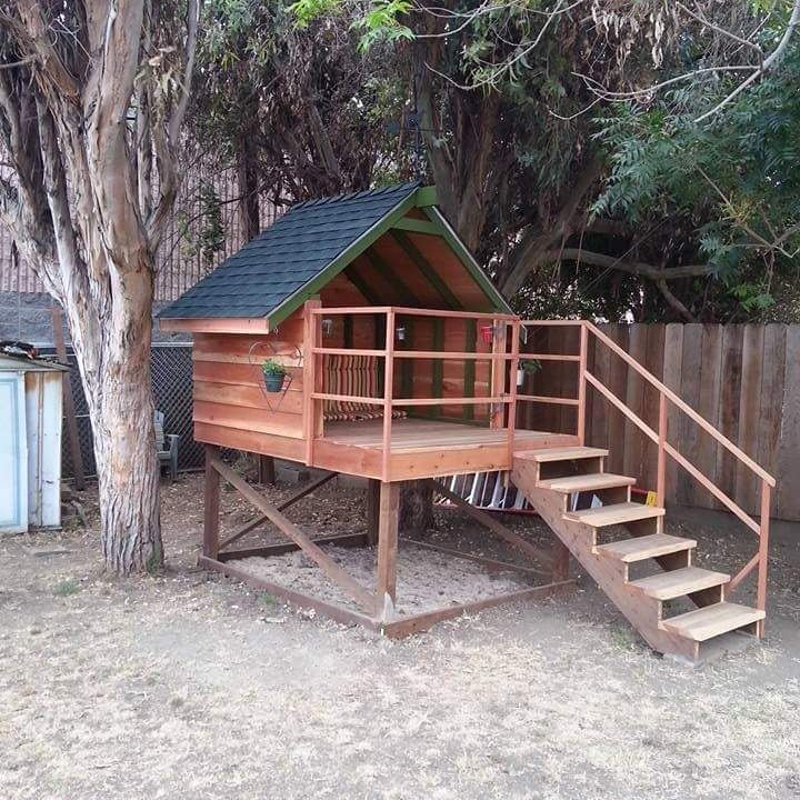 dog houses for large dogs