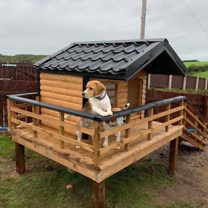 dog houses for large dogs