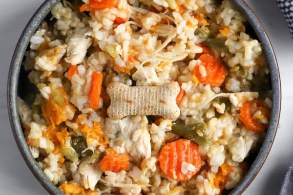 sensitive skin dog food