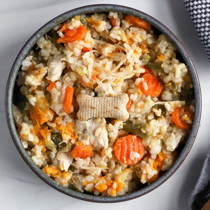 sensitive skin dog food