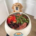 dog food for dry skin