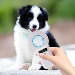 pet microchip scanner
