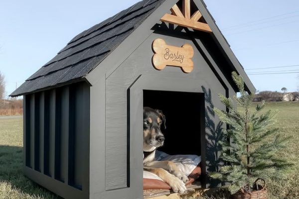 Insulated Dog House Designs: Stylish Options for Outdoor Pets insulated dog house