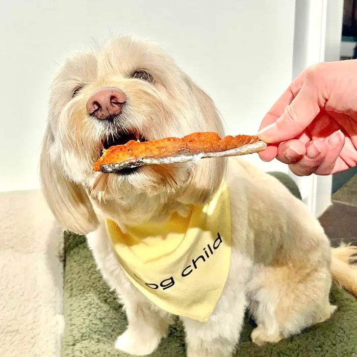salmon skin dog treats