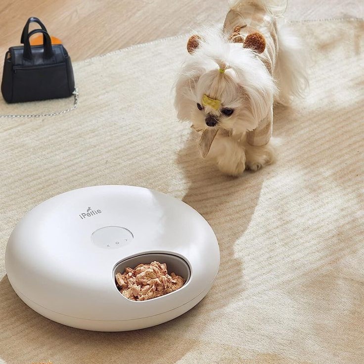 microchip pet feeder