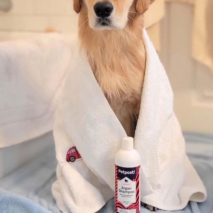 dog shampoo for itchy skin