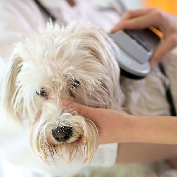 pet microchip scanner