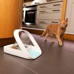 microchip pet feeder
