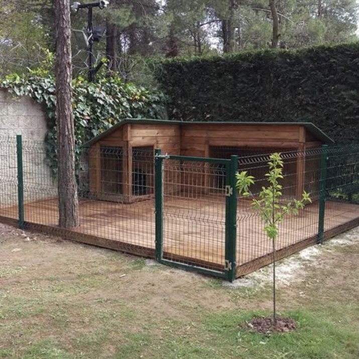 dog houses for large dogs