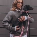 cool dog leashes